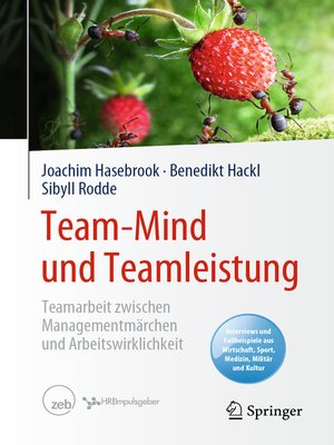 cover image of Team-Mind und Teamleistung